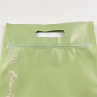 Wiederverwendbarer Reißverschluss-Plastiktaschen CYMK MOPP Gravnre 150mic FDA für Unterwäsche