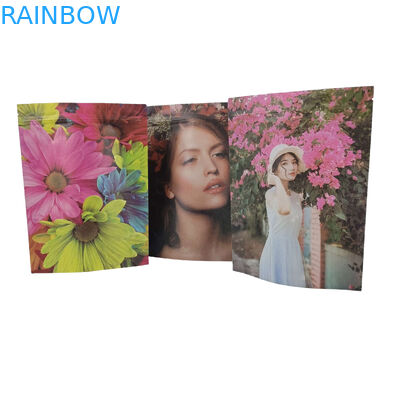 Spezielle Plastik-Food-Verpackungstüte mit Zip Lock