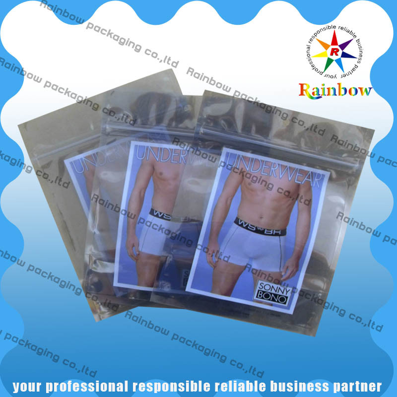 HAUSTIER/HAUSTIER/PET feste Laminierungs-statische transparente Aluminiumantitasche mit Reißverschluss