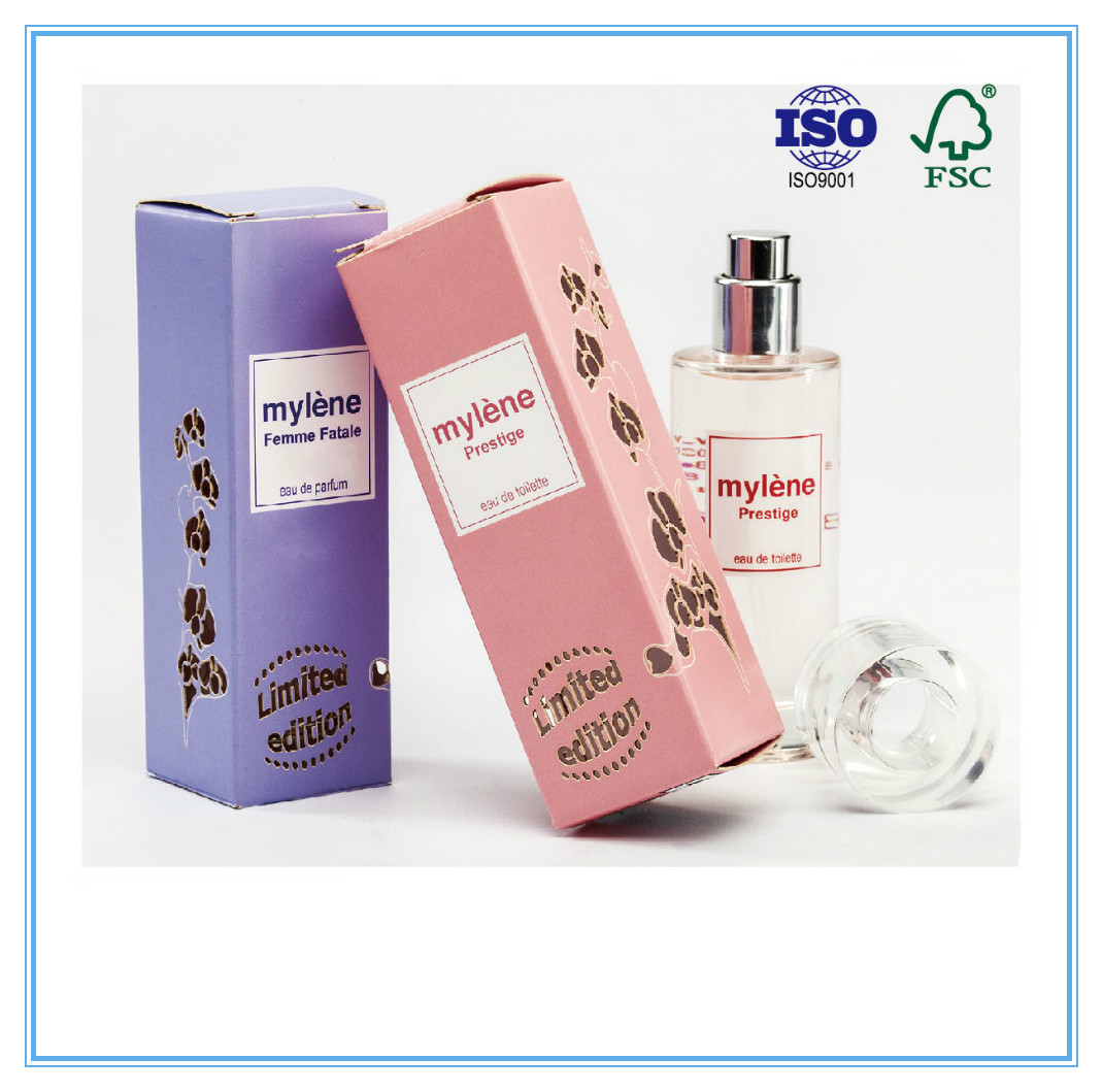 Papierkasten Logo Cusomized, der Pantone-Kunstdruckpapier für Anzeige verpackt